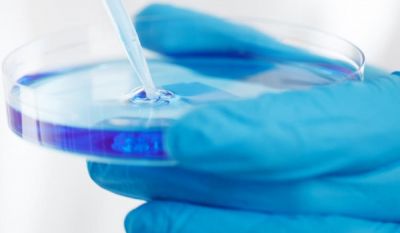 烟台亿鑫精细化工有限公司坐落于烟台经济技术开发区内